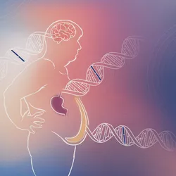 An illustration of a white outline of an obese person. The adipose tissue is highlighted in yellow, the stomach in purple and the brain in red. A strand of DNA stretches from each of these organs, with one base in the strand highlighted in each to represent a mutation. This represents out precision medicine can be used to inform obesity diagnosis and treatment.