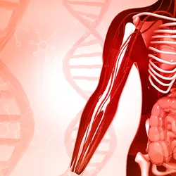 3d illustration of human body anatomy on DNA background, signifying a spatial transcriptomics technology that can reconstruct the spatial organization of the tissue. 