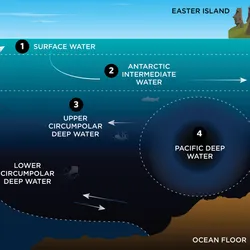thumbnail of ocean currents infographic