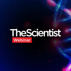 Next-Generation Approaches for Precision Gene Editing