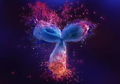 3D illustration of Y shaped protein, highlighting the structure of an antibody.