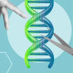 DNA double helix being cut by scissors with a hand pointing out where to cut next