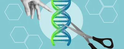 DNA double helix being cut by scissors with a hand pointing out where to cut next