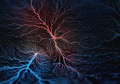 Abstract graphic representing nerves