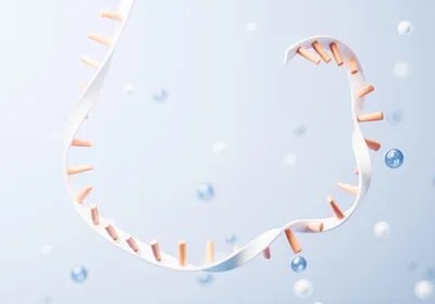 3D rendered mRNA molecule in suspension