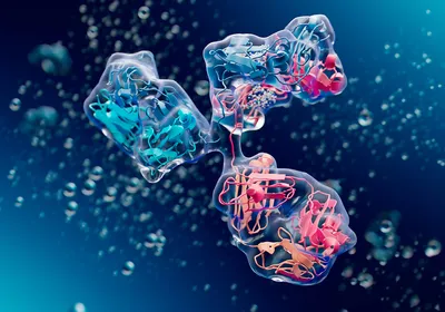 Conceptual 3D rendering of an antibody showing internal and external structure in shades of pink and blue.
