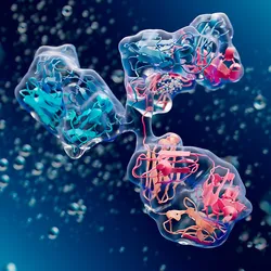 Conceptual 3D rendering of an antibody showing internal and external structure in shades of pink and blue.