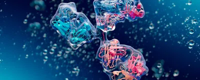 Conceptual 3D rendering of an antibody showing internal and external structure in shades of pink and blue.