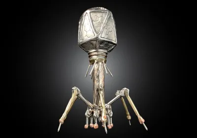 Image of a sculpture of a bacteriophage made from steel and bronze.