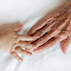 Hands of an old person and a child touch against a white background, signifying aging, which is accompanied by ER-phagy-driven ER remodeling in preclinical models.