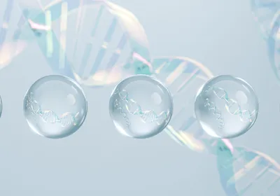 DNA strands partitioned into separate reaction droplets