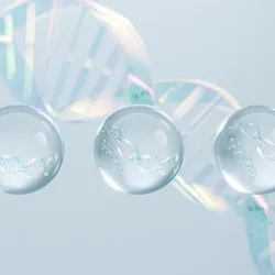 DNA strands partitioned into separate reaction droplets