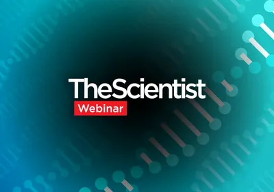 Beyond the Bottleneck: Engineering Sensitive Bespoke MRD Assays