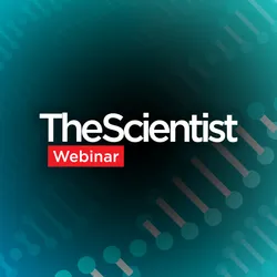 Beyond the Bottleneck: Engineering Sensitive Bespoke MRD Assays