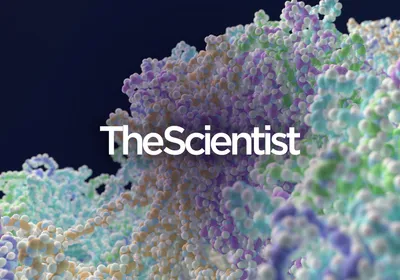 Close-up 3D rendering of complex protein structures floating against a blue scientific background, illustrating molecular formations associated with HPV research and vaccine development.