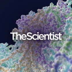 Close-up 3D rendering of complex protein structures floating against a blue scientific background, illustrating molecular formations associated with HPV research and vaccine development.