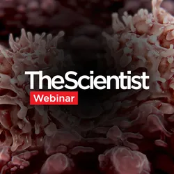 Predicting Chemotherapy Response with Patient-Derived Gastric Cancer Organoids
