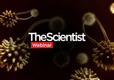 Streamlining T Cell Analysis Using High-Throughput Cytometry 