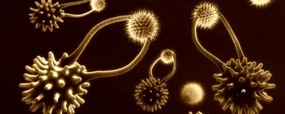 Streamlining T Cell Analysis Using High-Throughput Cytometry 