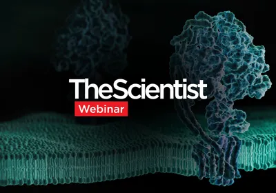 Accelerating Membrane Protein Research for Crop Protection