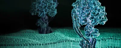 Accelerating Membrane Protein Research for Crop Protection