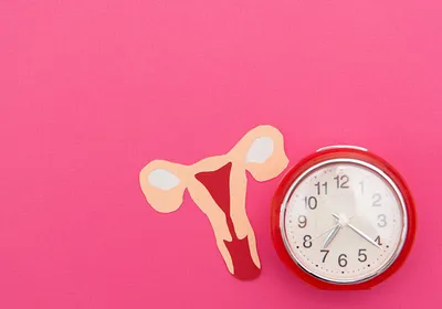 Paper uterus cutout with clock on pink background symbolizing menopause and fertility.
