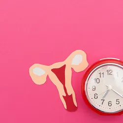 Paper uterus cutout with clock on pink background symbolizing menopause and fertility.