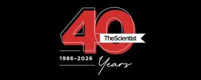TS 40th anniversary logo shown on black background