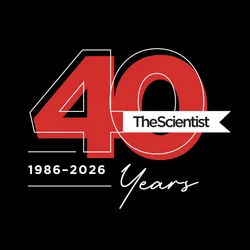 TS 40th anniversary logo on black background
