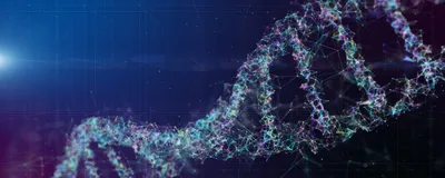 A Foundational Model for Joint Sequence-Function Long-Range Genomic Prediction