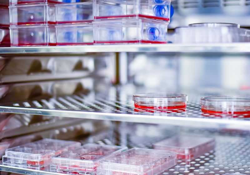 Lab Ppl End-to-End Life Science Laboratory Solutions | The Scientist