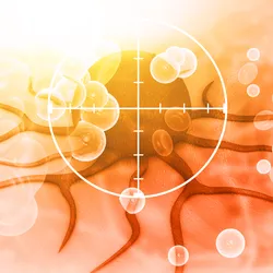 Image of a dark red tumor with transparent blood and immune cells passing by. A white cross hair target lies over the tumor, representing immunotherapy selectively attacking the cancerous cells.