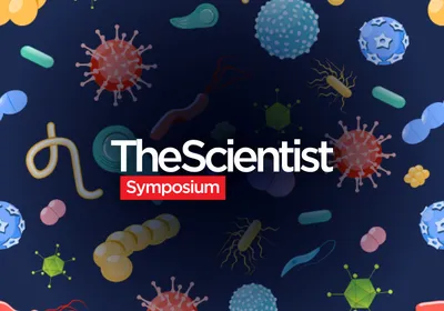 Pushing Boundaries in Emerging Infectious Disease Research