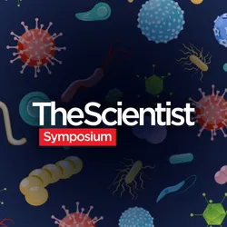 Pushing Boundaries in Emerging Infectious Disease Research
