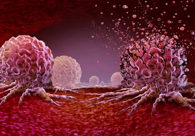 Cancerous growths in pink are shown on a red surface, signifying click chemistry applications that help targeted drug delivery to tumors.