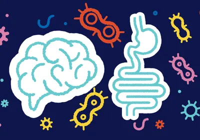 A cartoon drawing features bacteria, intestines, and a brain over a dark blue background.