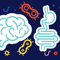 A cartoon drawing features bacteria, intestines, and a brain over a dark blue background.