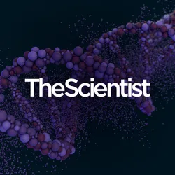 High-Throughput Single-Cell Assessment of Multiplex Gene Editing