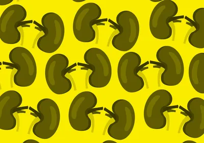 A repeating pattern of cartoon kidney illustrations.