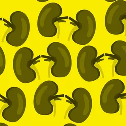 A repeating pattern of cartoon kidney illustrations.