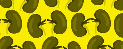 A repeating pattern of cartoon kidney illustrations.