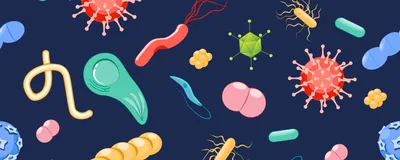 Pushing Boundaries in Emerging Infectious Disease Research