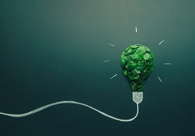 A lightbulb filled with green leaves, symbolizing sustainable laboratory science practices