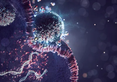 3D illustration of a light blue lipid nanoparticle pressed against a pink cell membrane. At the point where the two meet, 3D renditions of amino acids sit on the membrane. A white strand of RNA floats on the inside of the cell, delivered by the attached lipid nanoparticle. This photo represents how supplementing amino acids alongside lipid nanoparticles increases their delivery of cargo to cells.  