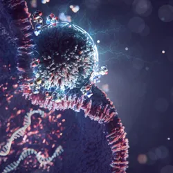 3D illustration of a light blue lipid nanoparticle pressed against a pink cell membrane. At the point where the two meet, 3D renditions of amino acids sit on the membrane. A white strand of RNA floats on the inside of the cell, delivered by the attached lipid nanoparticle. This photo represents how supplementing amino acids alongside lipid nanoparticles increases their delivery of cargo to cells.