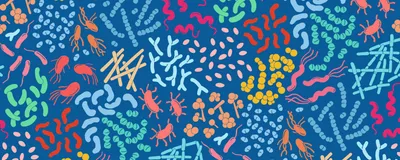 Vector image of various microorganisms, including beneficial bacteria and probiotics, against a blue background.