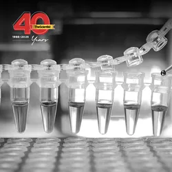 A scientist pipets loading dye into PCR reaction tubes suspended over the wells of a thermocycler in a research lab. The Scientist’s 40th Anniversary banner is shown in the top left corner.