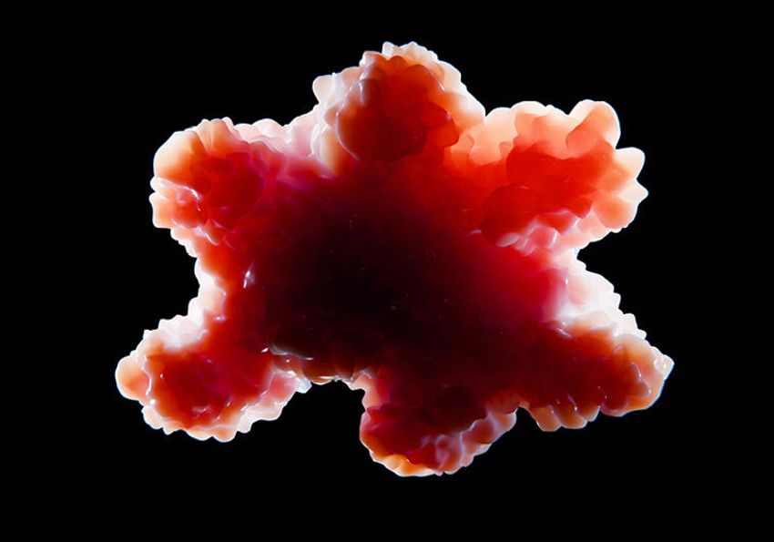 An illustration of an organoid on a black background.
