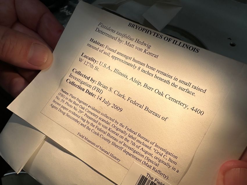 A packet of preserved moss containing its details.