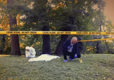 Forensic experts and a detective at a crime scene. The dead body is covered with a white sheet and is lying in the clearing in the middle of the forest. Studying moss found in such crime scenes can help solve cases. 